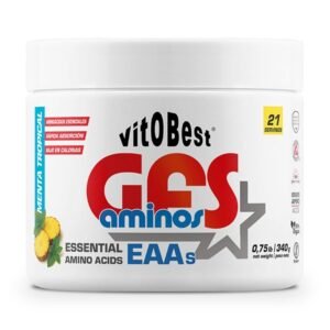 GFS AMINOS – 340 GR